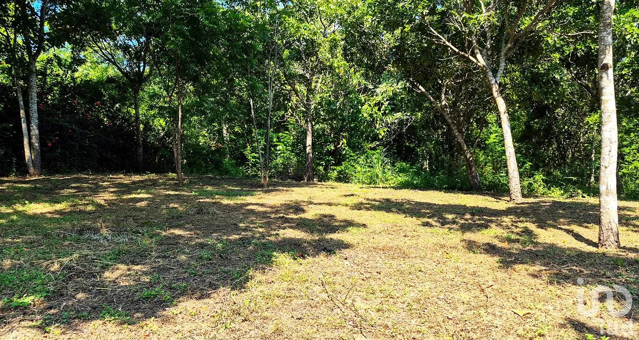 Terreno en Venta en Rancho de la Esperanza, San Pedro Mixtepec -Dto. 22 -, Oaxaca | NEX-286367 | iad México | Foto 2 de 10