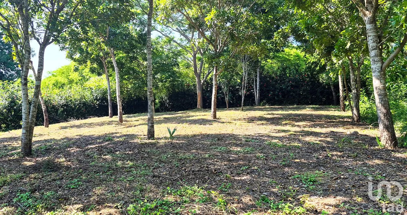Terreno en Venta en Rancho de la Esperanza, San Pedro Mixtepec -Dto. 22 -, Oaxaca | NEX-286367 | iad México | Foto 4 de 10