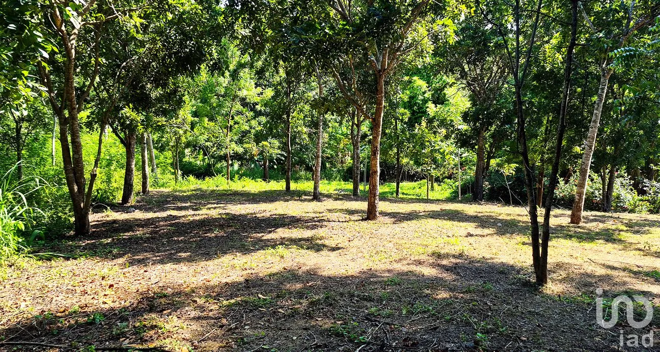 Terreno en Venta en Rancho de la Esperanza, San Pedro Mixtepec -Dto. 22 -, Oaxaca | NEX-286367 | iad México | Foto 5 de 10