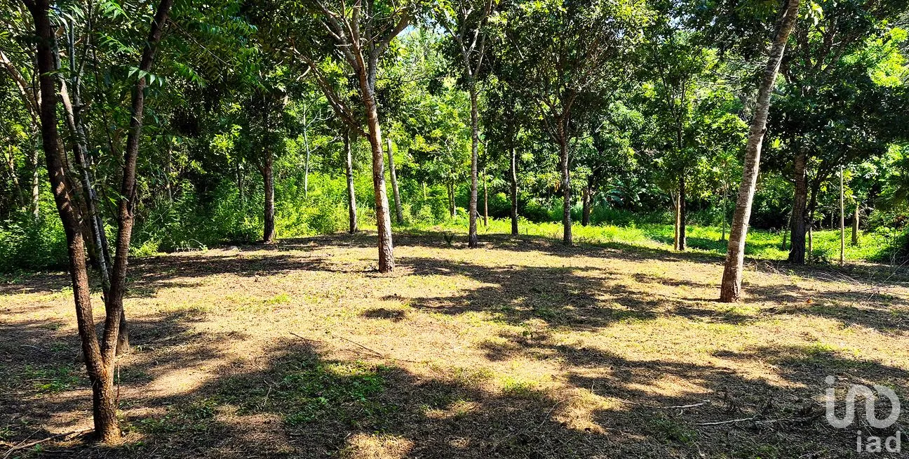 Terreno en Venta en Rancho de la Esperanza, San Pedro Mixtepec -Dto. 22 -, Oaxaca | NEX-286367 | iad México | Foto 6 de 10