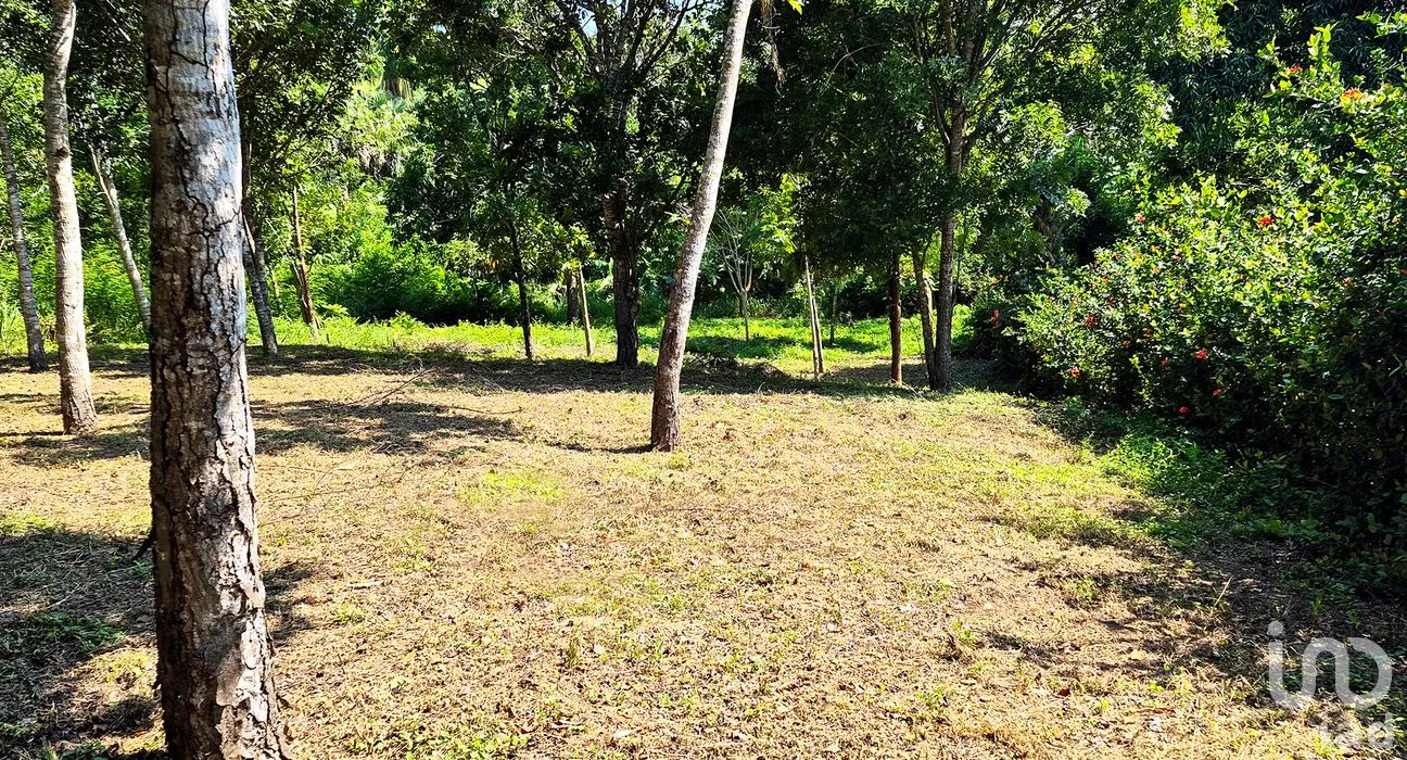 Terreno en Venta en Rancho de la Esperanza, San Pedro Mixtepec -Dto. 22 -, Oaxaca | NEX-286367 | iad México | Foto 7 de 10
