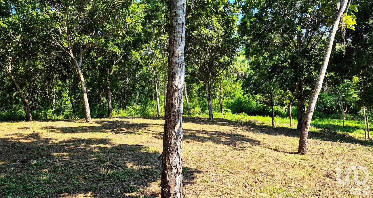 Terreno en Venta en Rancho de la Esperanza, San Pedro Mixtepec -Dto. 22 -, Oaxaca | NEX-286367 | iad México | Foto 8 de 10