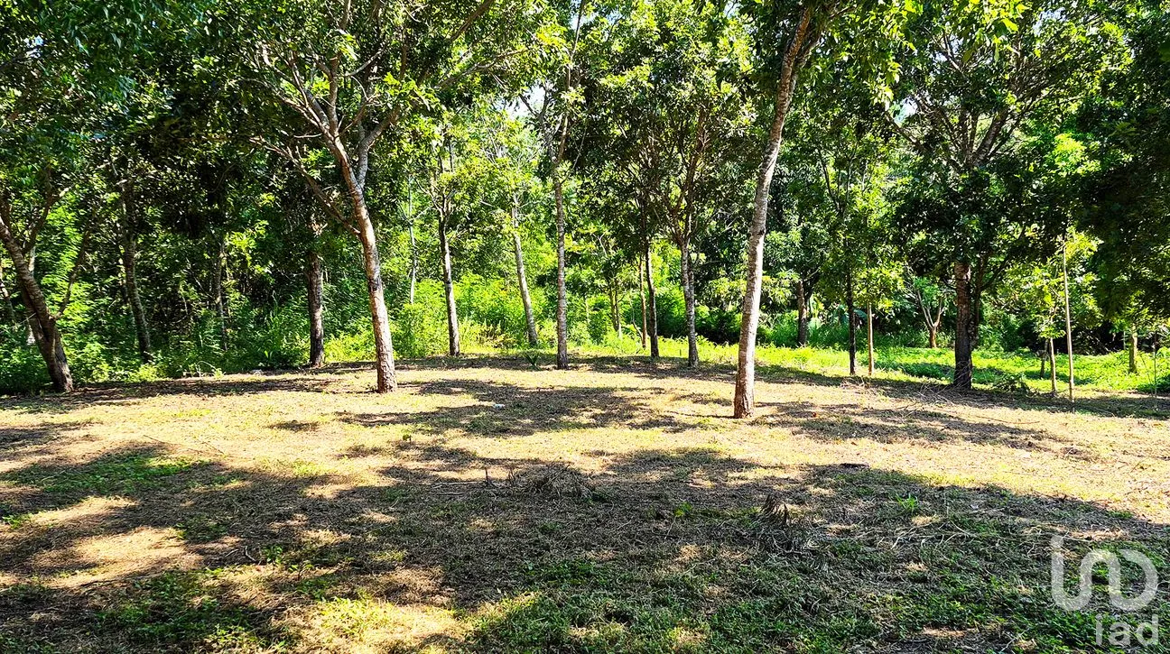 Terreno en Venta en Rancho de la Esperanza, San Pedro Mixtepec -Dto. 22 -, Oaxaca | NEX-286367 | iad México | Foto 9 de 10
