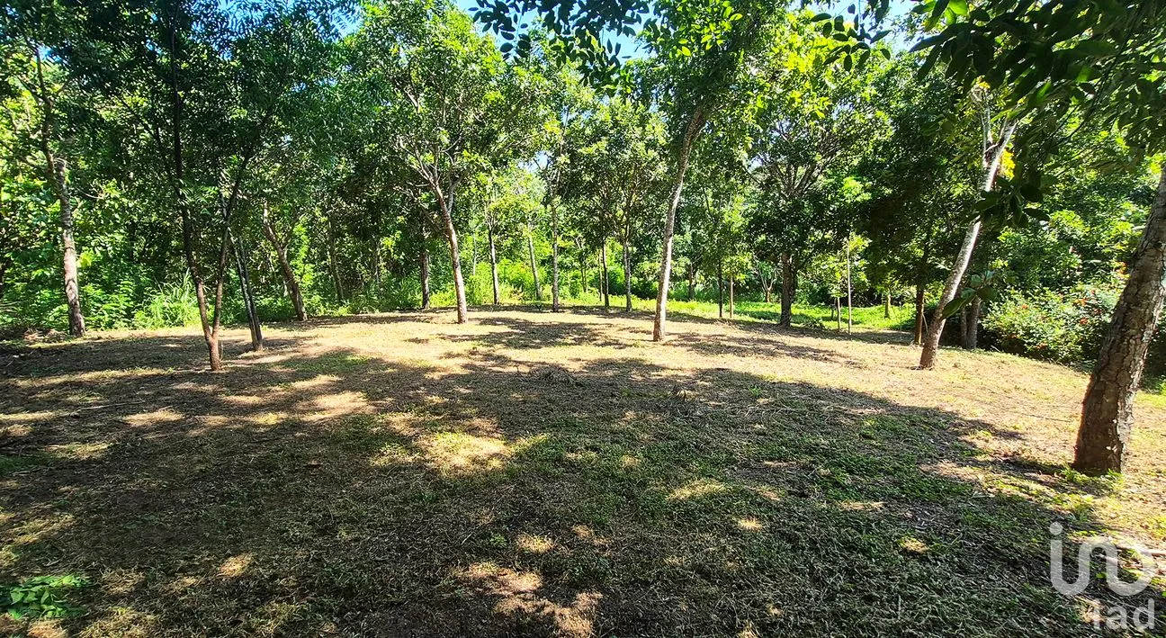 Terreno en Venta en Rancho de la Esperanza, San Pedro Mixtepec -Dto. 22 -, Oaxaca | NEX-286367 | iad México | Foto 10 de 10