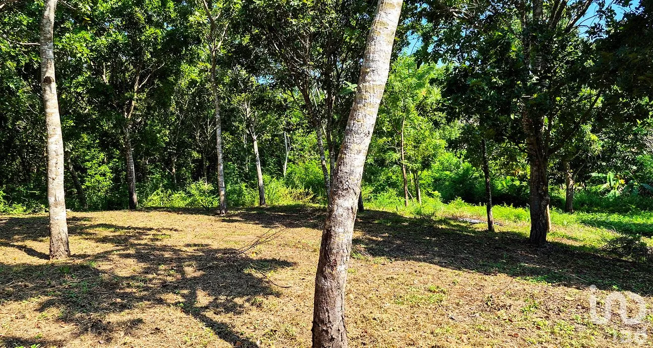 Terreno en Venta en Rancho de la Esperanza, San Pedro Mixtepec -Dto. 22 -, Oaxaca | NEX-286367 | iad México | Foto 1 de 10