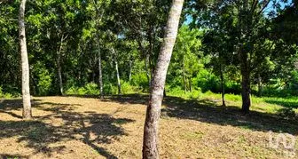 NEX-286367 - Terreno en Venta en Rancho de la Esperanza, CP 71997, Oaxaca.