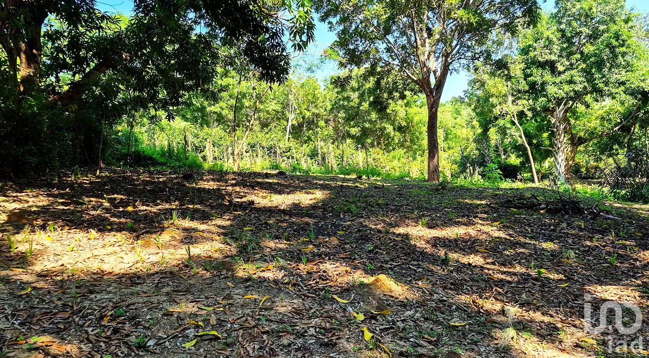 Terreno en Venta en Rancho de la Esperanza, San Pedro Mixtepec -Dto. 22 -, Oaxaca | NEX-286381 | iad México | Foto 2 de 8
