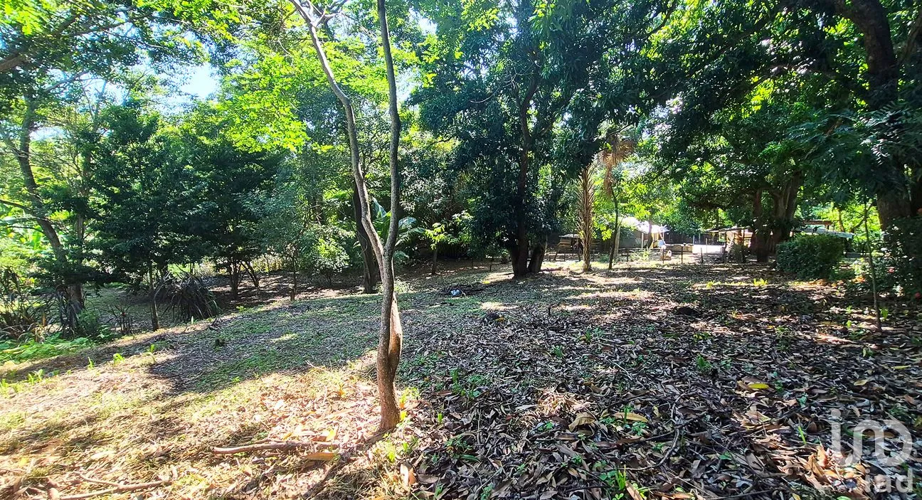 Terreno en Venta en Rancho de la Esperanza, San Pedro Mixtepec -Dto. 22 -, Oaxaca | NEX-286381 | iad México | Foto 4 de 8