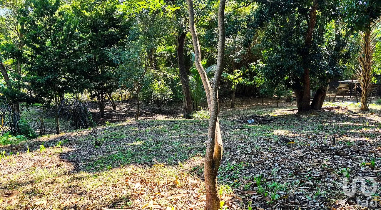 Terreno en Venta en Rancho de la Esperanza, San Pedro Mixtepec -Dto. 22 -, Oaxaca | NEX-286381 | iad México | Foto 5 de 8