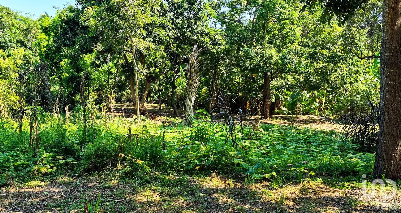 Terreno en Venta en Rancho de la Esperanza, San Pedro Mixtepec -Dto. 22 -, Oaxaca | NEX-286381 | iad México | Foto 7 de 8
