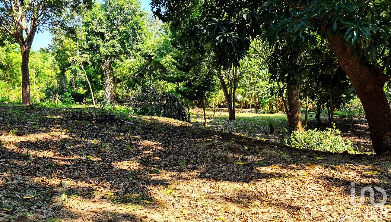 Terreno en Venta en Rancho de la Esperanza, San Pedro Mixtepec -Dto. 22 -, Oaxaca | NEX-286381 | iad México | Foto 1 de 8