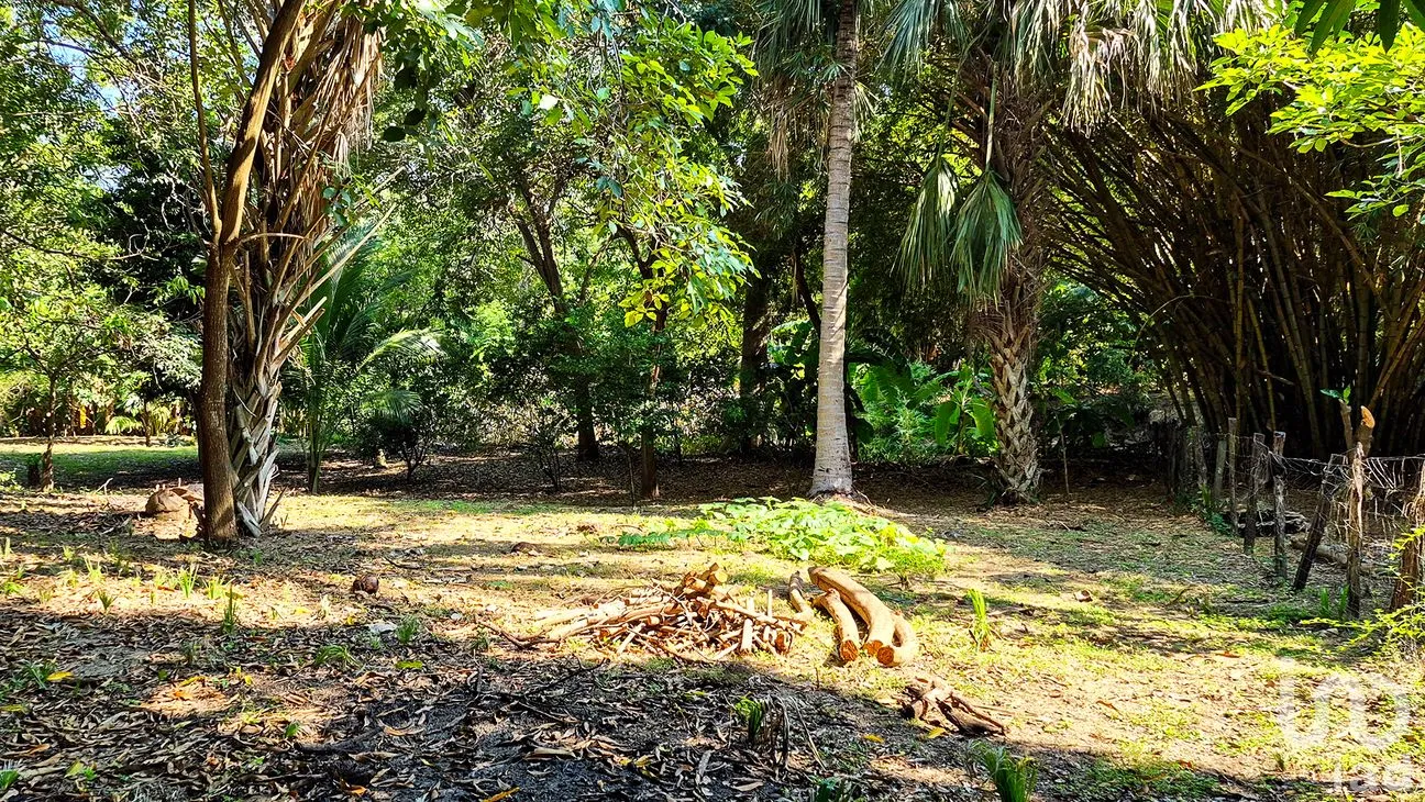 Terreno en Venta en Rancho de la Esperanza, San Pedro Mixtepec -Dto. 22 -, Oaxaca | NEX-286386 | iad México | Foto 2 de 12