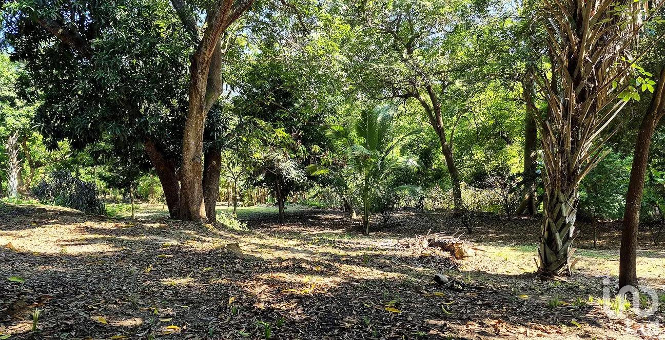 Terreno en Venta en Rancho de la Esperanza, San Pedro Mixtepec -Dto. 22 -, Oaxaca | NEX-286386 | iad México | Foto 4 de 12