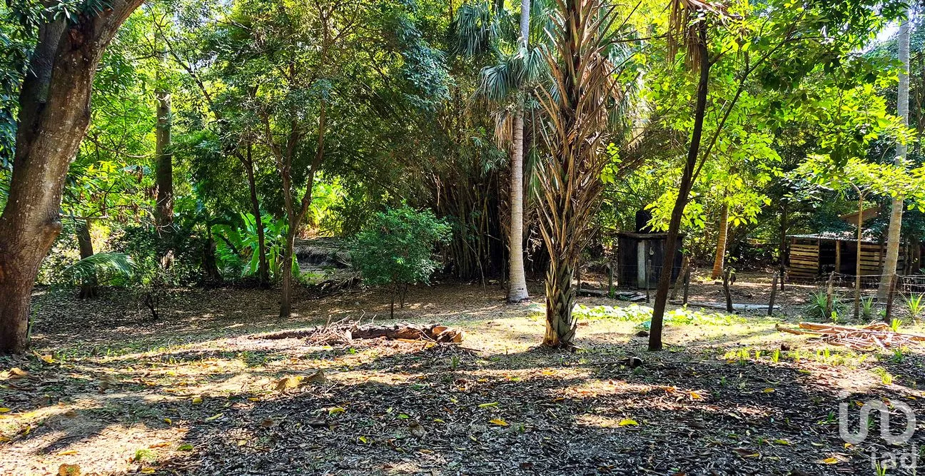 Terreno en Venta en Rancho de la Esperanza, San Pedro Mixtepec -Dto. 22 -, Oaxaca | NEX-286386 | iad México | Foto 7 de 12