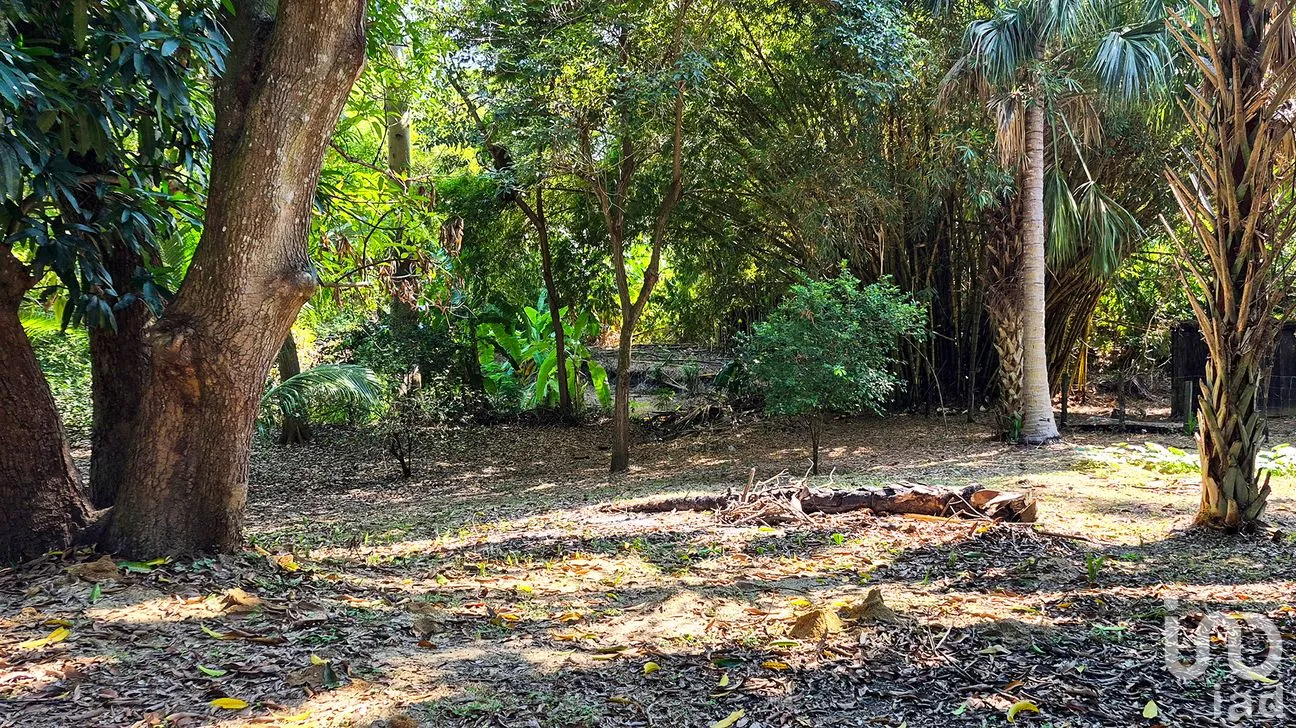Terreno en Venta en Rancho de la Esperanza, San Pedro Mixtepec -Dto. 22 -, Oaxaca | NEX-286386 | iad México | Foto 8 de 12