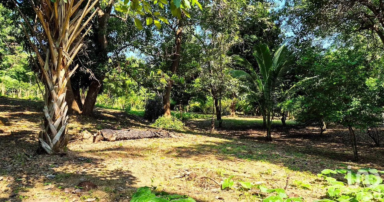 Terreno en Venta en Rancho de la Esperanza, San Pedro Mixtepec -Dto. 22 -, Oaxaca | NEX-286386 | iad México | Foto 1 de 12
