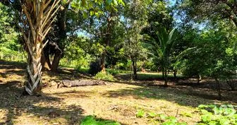 NEX-286386 - Terreno en Venta en Rancho de la Esperanza, CP 71997, Oaxaca.