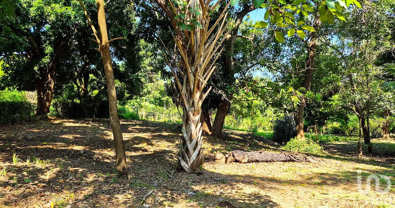 Terreno en Venta en Rancho de la Esperanza, San Pedro Mixtepec -Dto. 22 -, Oaxaca | NEX-286388 | iad México | Foto 2 de 11