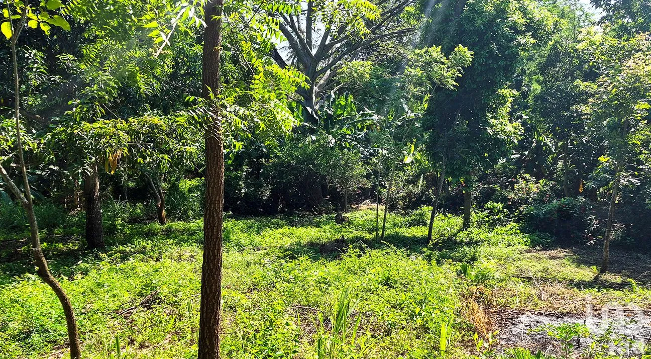 Terreno en Venta en Rancho de la Esperanza, San Pedro Mixtepec -Dto. 22 -, Oaxaca | NEX-286388 | iad México | Foto 11 de 11
