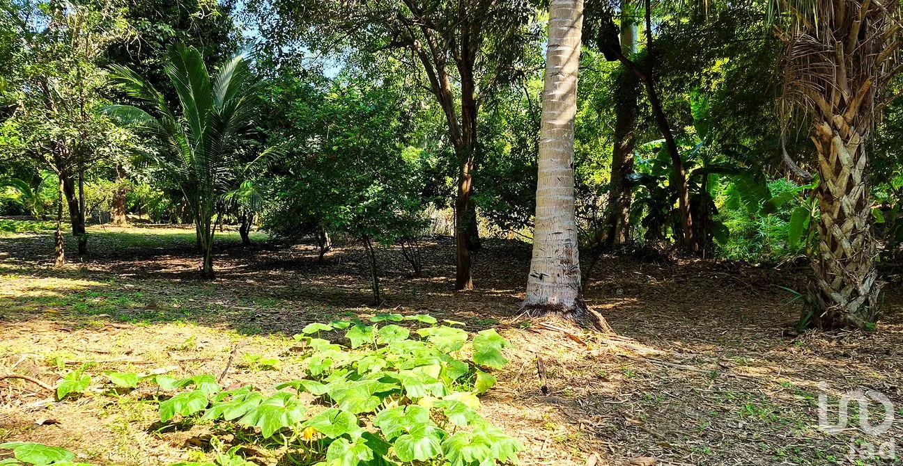 Terreno en Venta en Rancho de la Esperanza, San Pedro Mixtepec -Dto. 22 -, Oaxaca | NEX-286388 | iad México | Foto 3 de 11