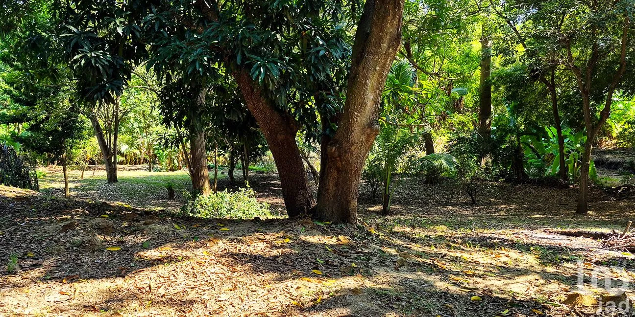 Terreno en Venta en Rancho de la Esperanza, San Pedro Mixtepec -Dto. 22 -, Oaxaca | NEX-286388 | iad México | Foto 4 de 11