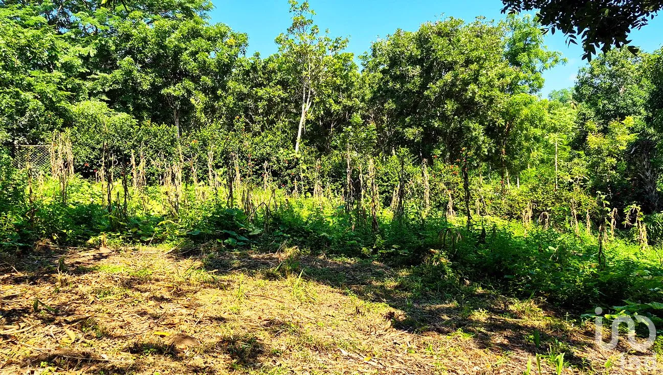 Terreno en Venta en Rancho de la Esperanza, San Pedro Mixtepec -Dto. 22 -, Oaxaca | NEX-286388 | iad México | Foto 7 de 11