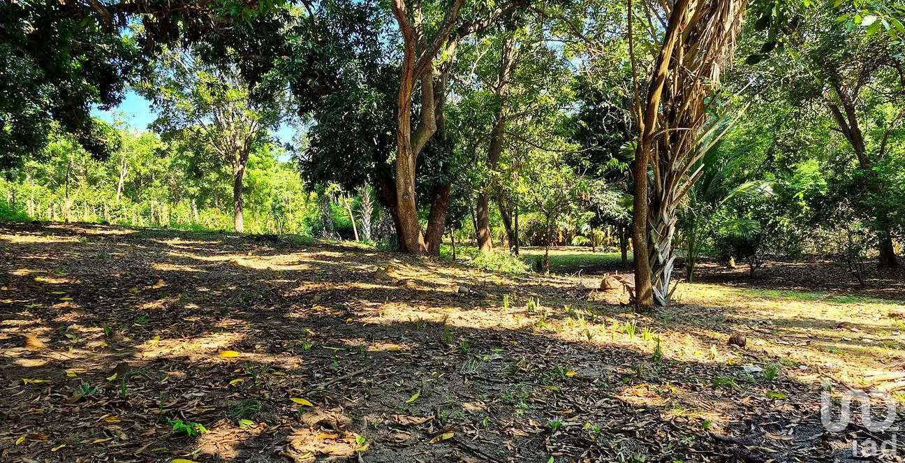 Terreno en Venta en Rancho de la Esperanza, San Pedro Mixtepec -Dto. 22 -, Oaxaca | NEX-286388 | iad México | Foto 1 de 11