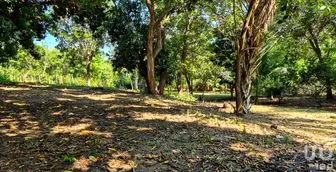 NEX-286388 - Terreno en Venta en Rancho de la Esperanza, CP 71997, Oaxaca.