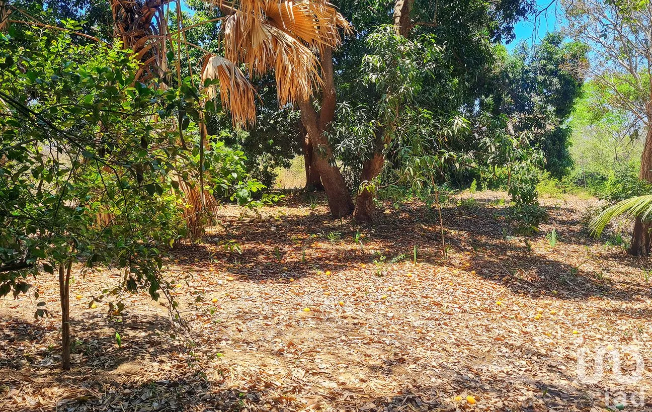 Terreno en Venta en Rancho de la Esperanza, San Pedro Mixtepec -Dto. 22 -, Oaxaca | NEX-286390 | iad México | Foto 2 de 12