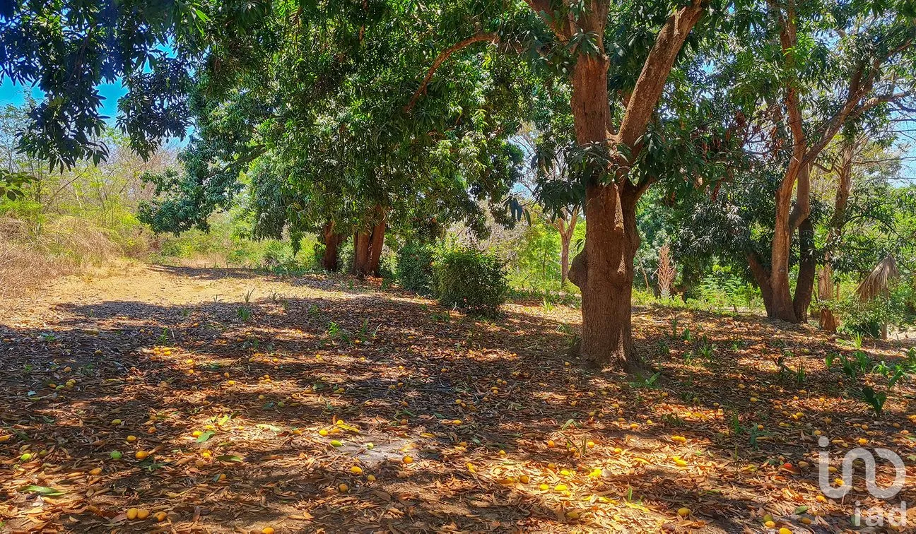 Terreno en Venta en Rancho de la Esperanza, San Pedro Mixtepec -Dto. 22 -, Oaxaca | NEX-286390 | iad México | Foto 11 de 12