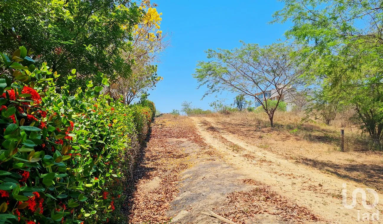 Terreno en Venta en Rancho de la Esperanza, San Pedro Mixtepec -Dto. 22 -, Oaxaca | NEX-286390 | iad México | Foto 12 de 12