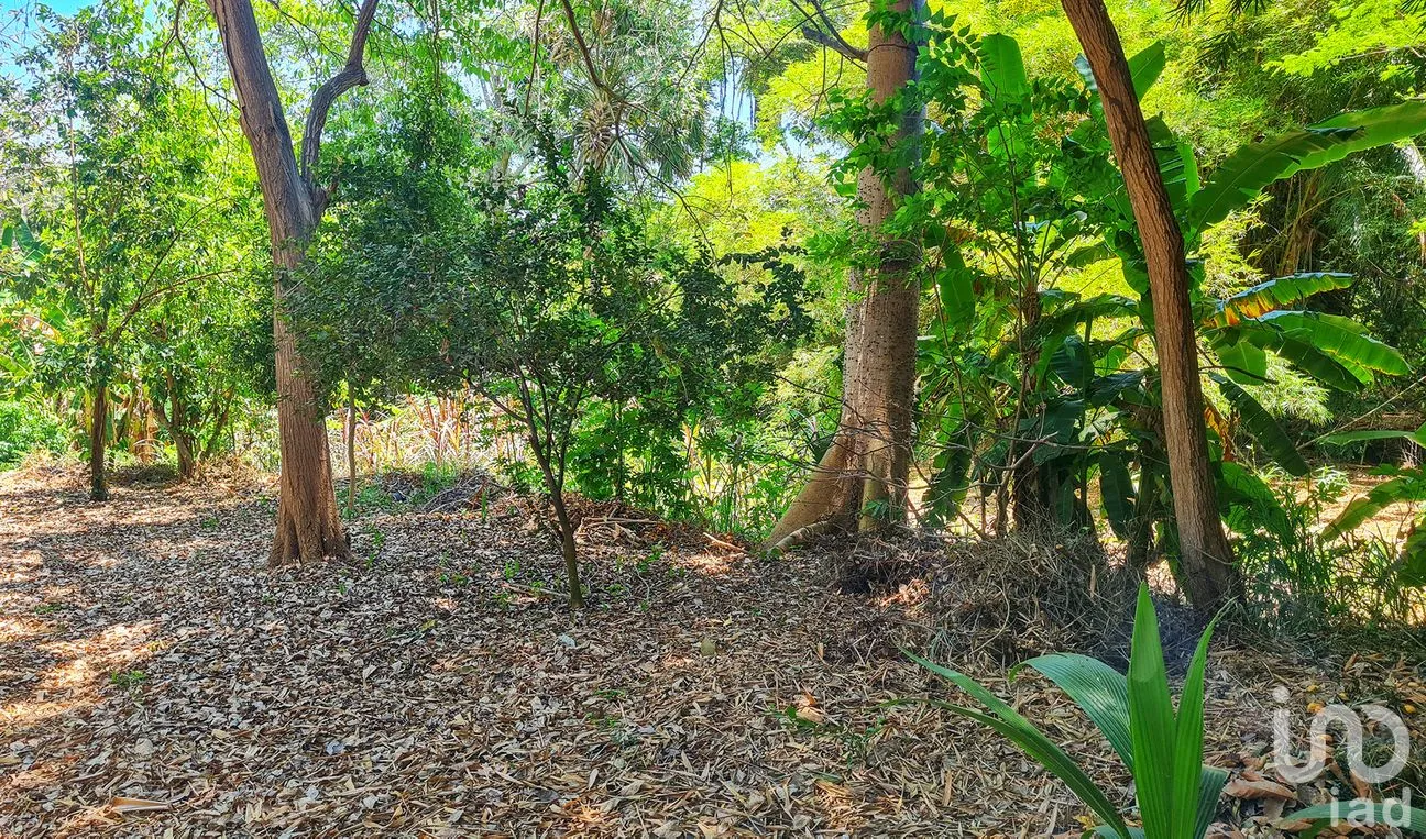 Terreno en Venta en Rancho de la Esperanza, San Pedro Mixtepec -Dto. 22 -, Oaxaca | NEX-286390 | iad México | Foto 3 de 12