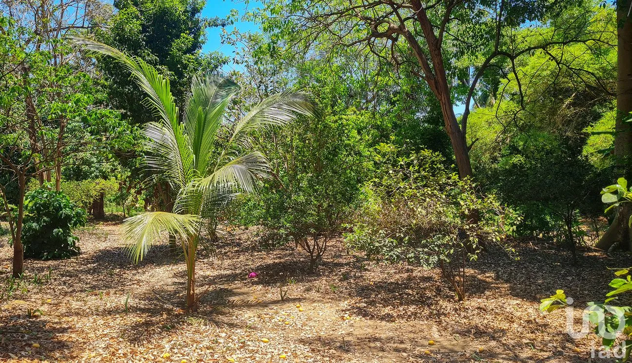 Terreno en Venta en Rancho de la Esperanza, San Pedro Mixtepec -Dto. 22 -, Oaxaca | NEX-286390 | iad México | Foto 4 de 12