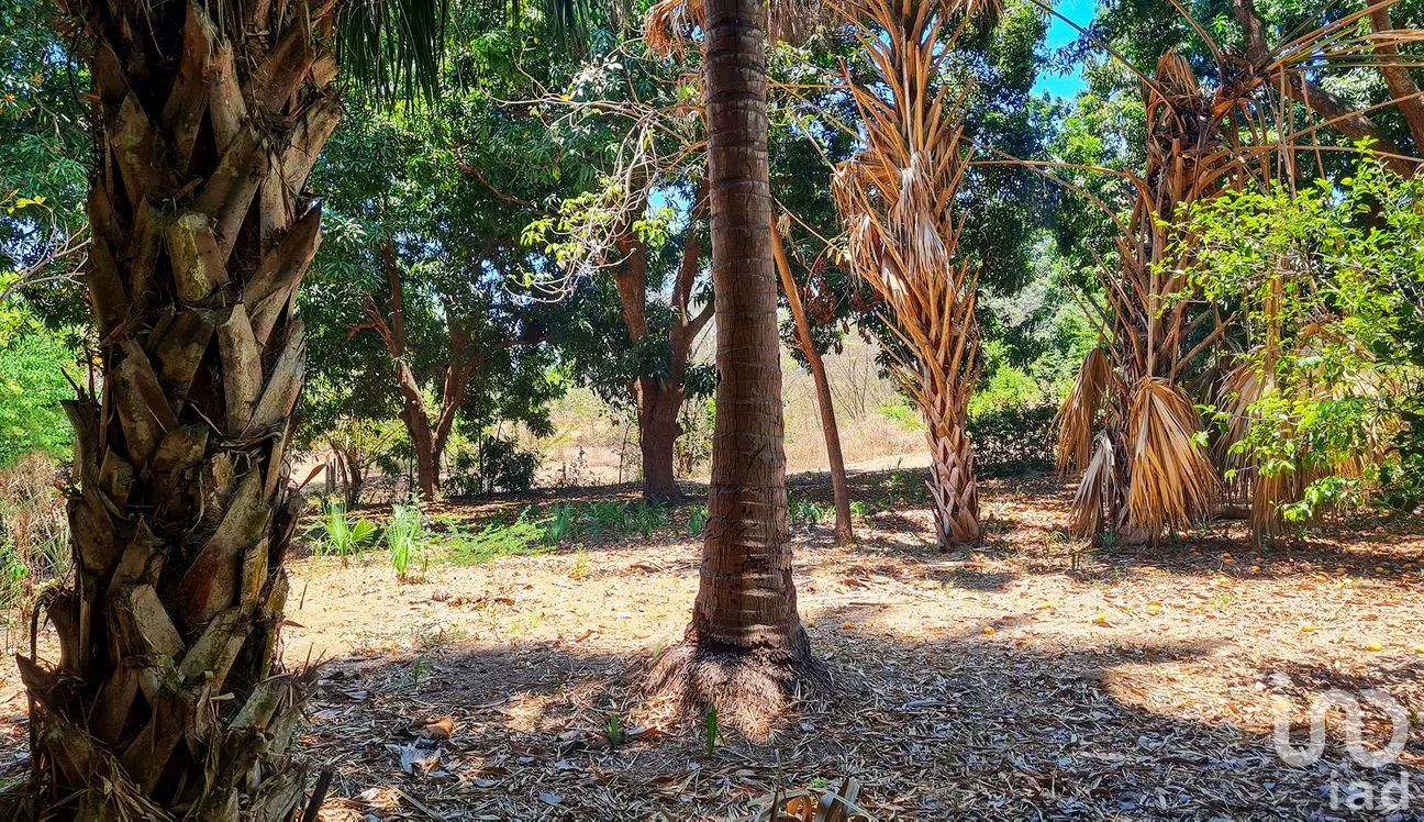 Terreno en Venta en Rancho de la Esperanza, San Pedro Mixtepec -Dto. 22 -, Oaxaca | NEX-286390 | iad México | Foto 5 de 12