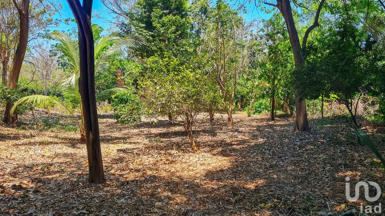 Terreno en Venta en Rancho de la Esperanza, San Pedro Mixtepec -Dto. 22 -, Oaxaca | NEX-286390 | iad México | Foto 6 de 12