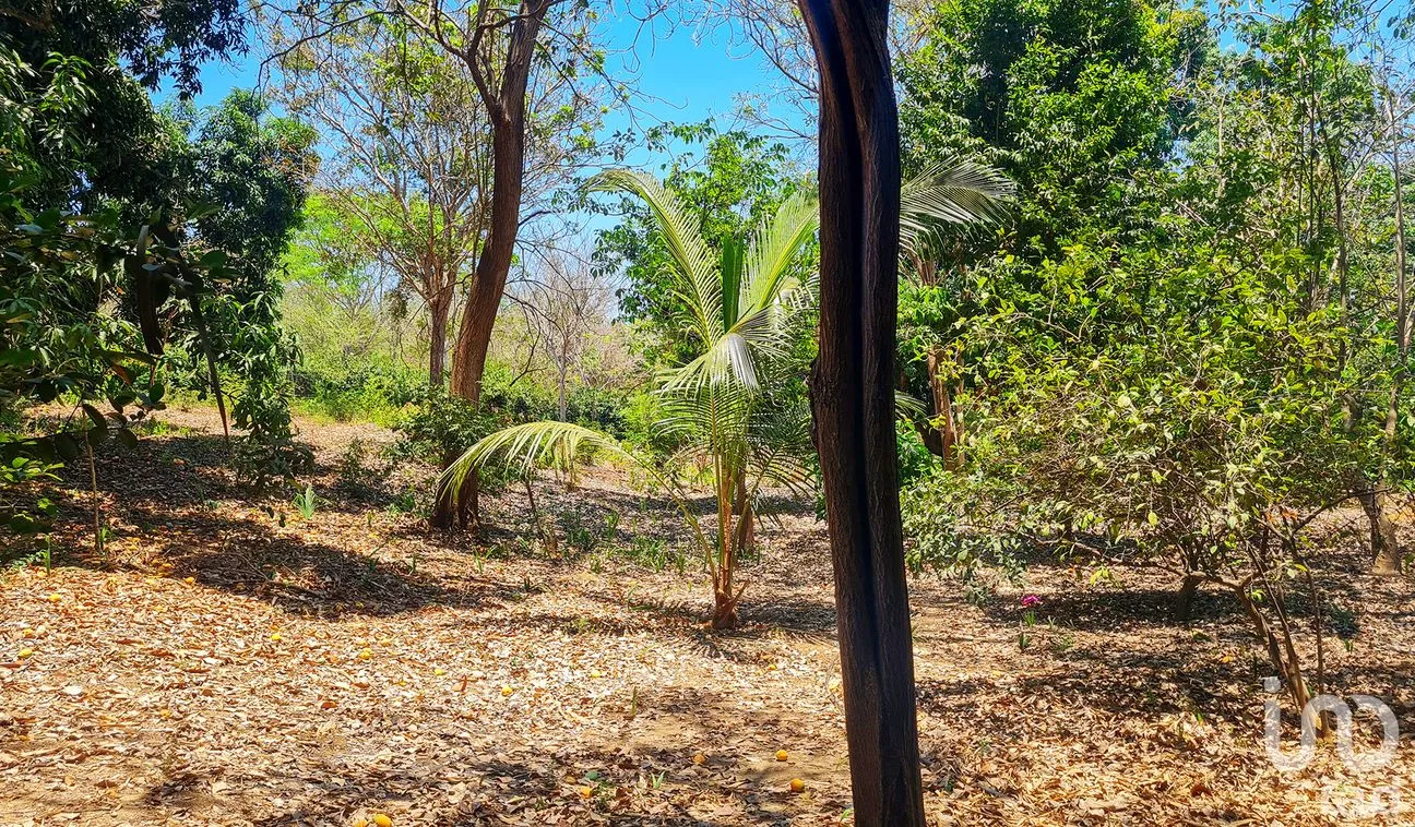 Terreno en Venta en Rancho de la Esperanza, San Pedro Mixtepec -Dto. 22 -, Oaxaca | NEX-286390 | iad México | Foto 7 de 12