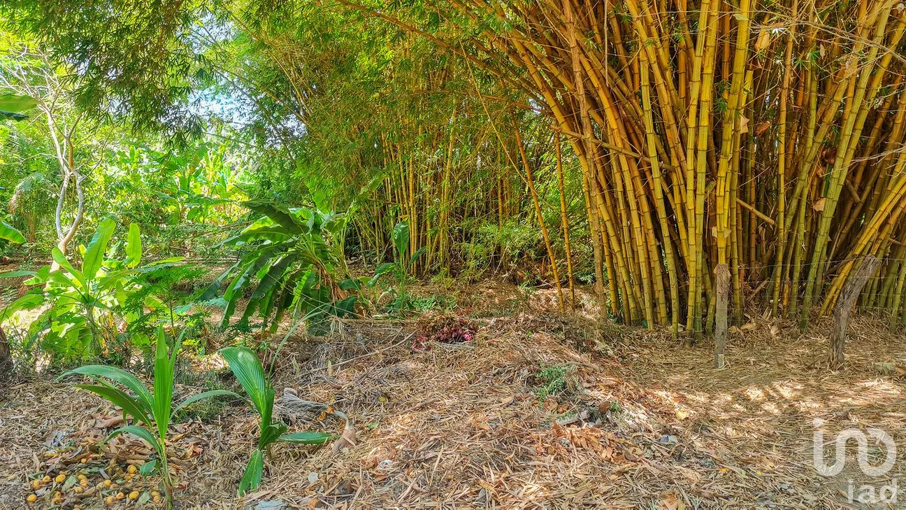 Terreno en Venta en Rancho de la Esperanza, San Pedro Mixtepec -Dto. 22 -, Oaxaca | NEX-286390 | iad México | Foto 8 de 12