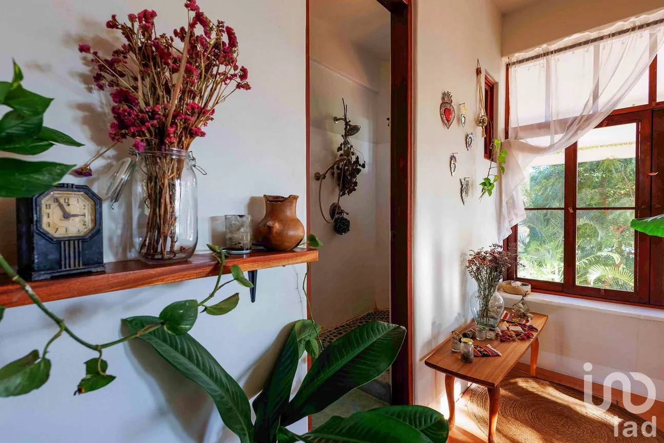 Casa en Venta en Puerto Escondido Centro, San Pedro Mixtepec -Dto. 22 -, Oaxaca | NEX-292698 | iad México | Foto 14 de 57