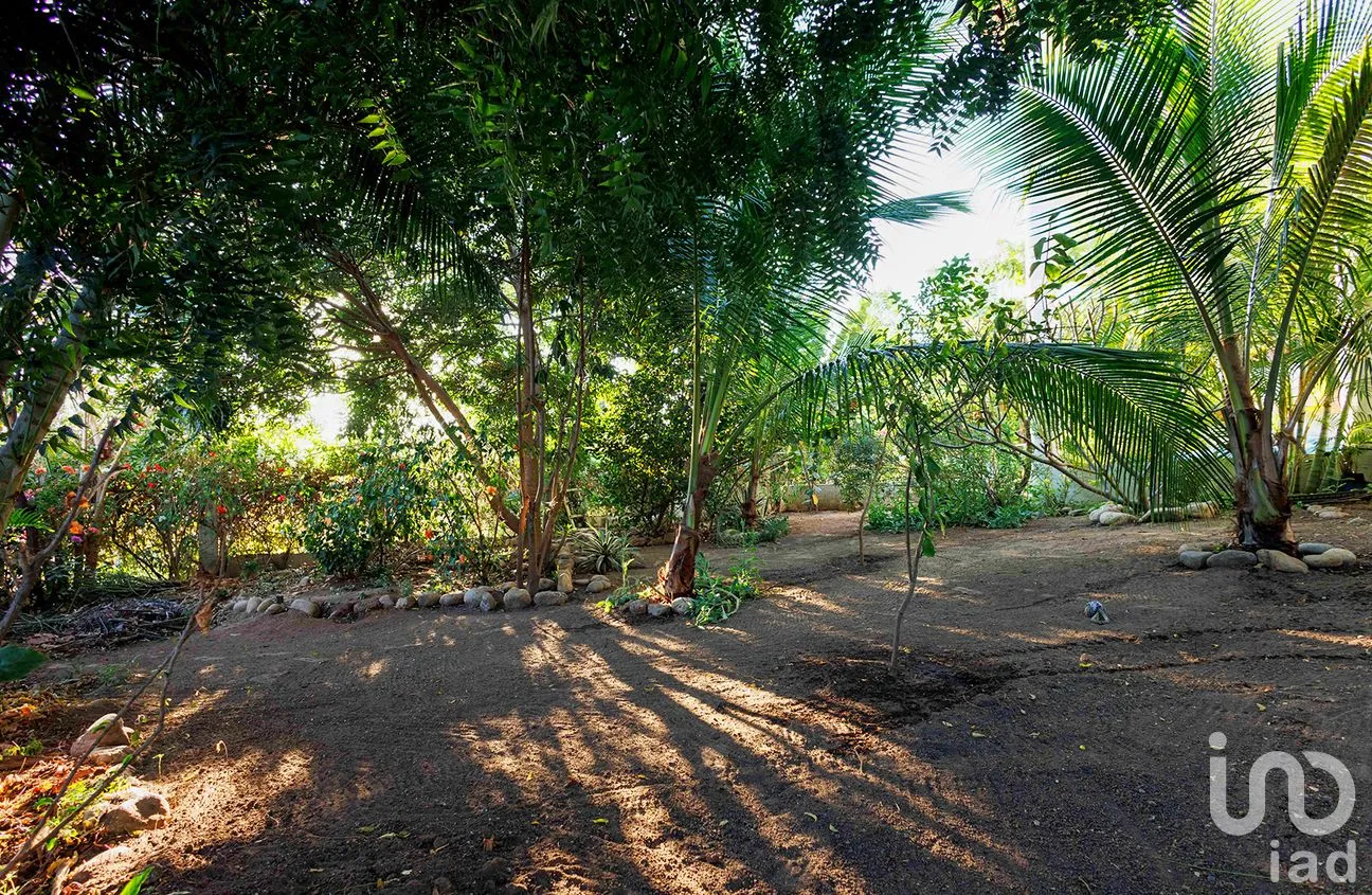 Casa en Venta en Puerto Escondido Centro, San Pedro Mixtepec -Dto. 22 -, Oaxaca | NEX-292698 | iad México | Foto 21 de 57