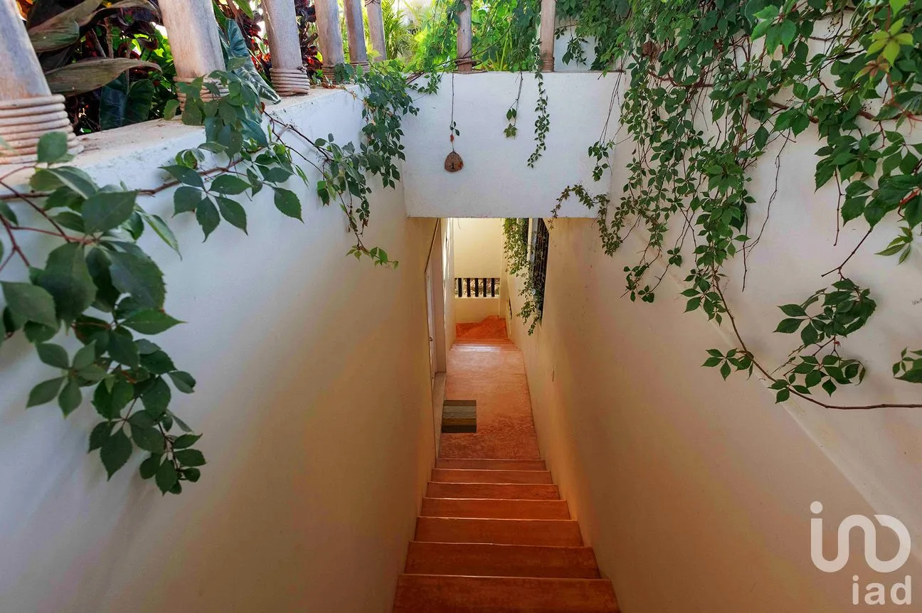 Casa en Venta en Puerto Escondido Centro, San Pedro Mixtepec -Dto. 22 -, Oaxaca | NEX-292698 | iad México | Foto 38 de 57