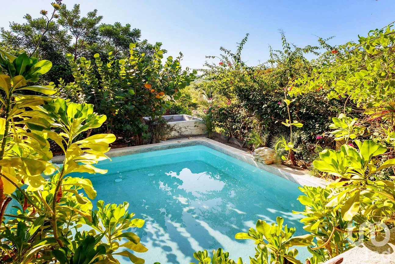 Casa en Venta en Puerto Escondido Centro, San Pedro Mixtepec -Dto. 22 -, Oaxaca | NEX-292698 | iad México | Foto 6 de 57