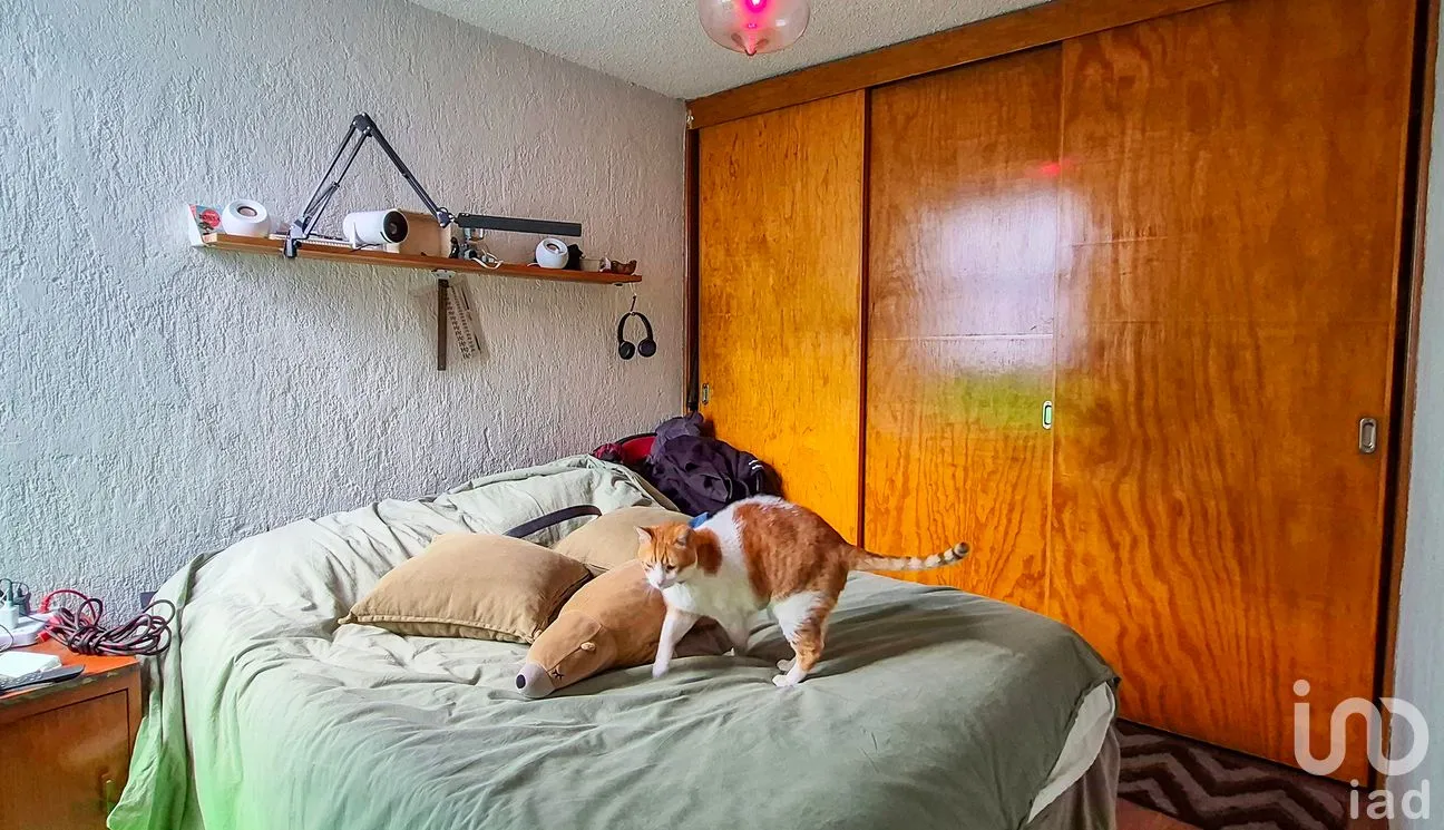Departamento en Venta en Escandón II Sección, Miguel Hidalgo, Ciudad de México | NEX-293332 | iad México | Foto 15 de 19