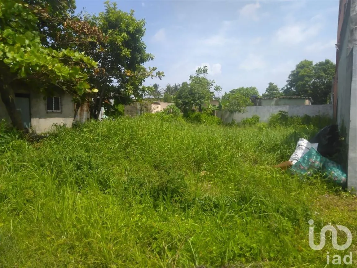 Terreno en Renta en Miguel Hidalgo, Coatzacoalcos, Veracruz de Ignacio de la Llave | NEX-176523 | iad México | Foto 2 de 7