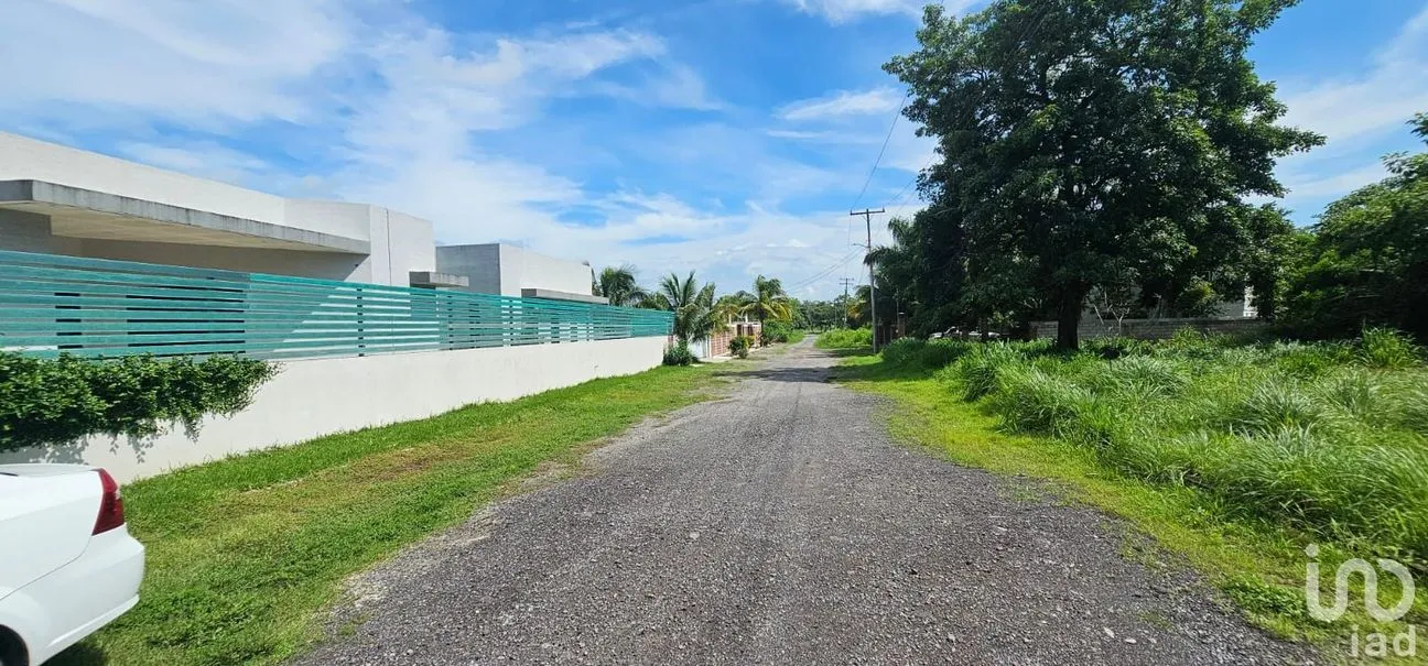 Terreno en Venta en Mata Loma, Manlio Fabio Altamirano, Veracruz de Ignacio de la Llave | NEX-220005 | iad México | Foto 11 de 11