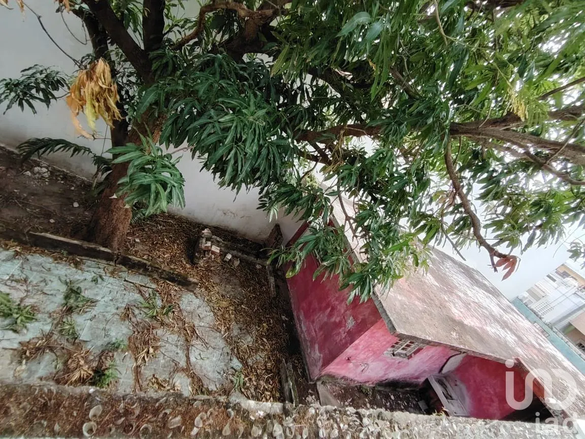 Terreno en Venta en Ricardo Flores Magón, Veracruz, Veracruz de Ignacio de la Llave | NEX-263912 | iad México | Foto 8 de 12