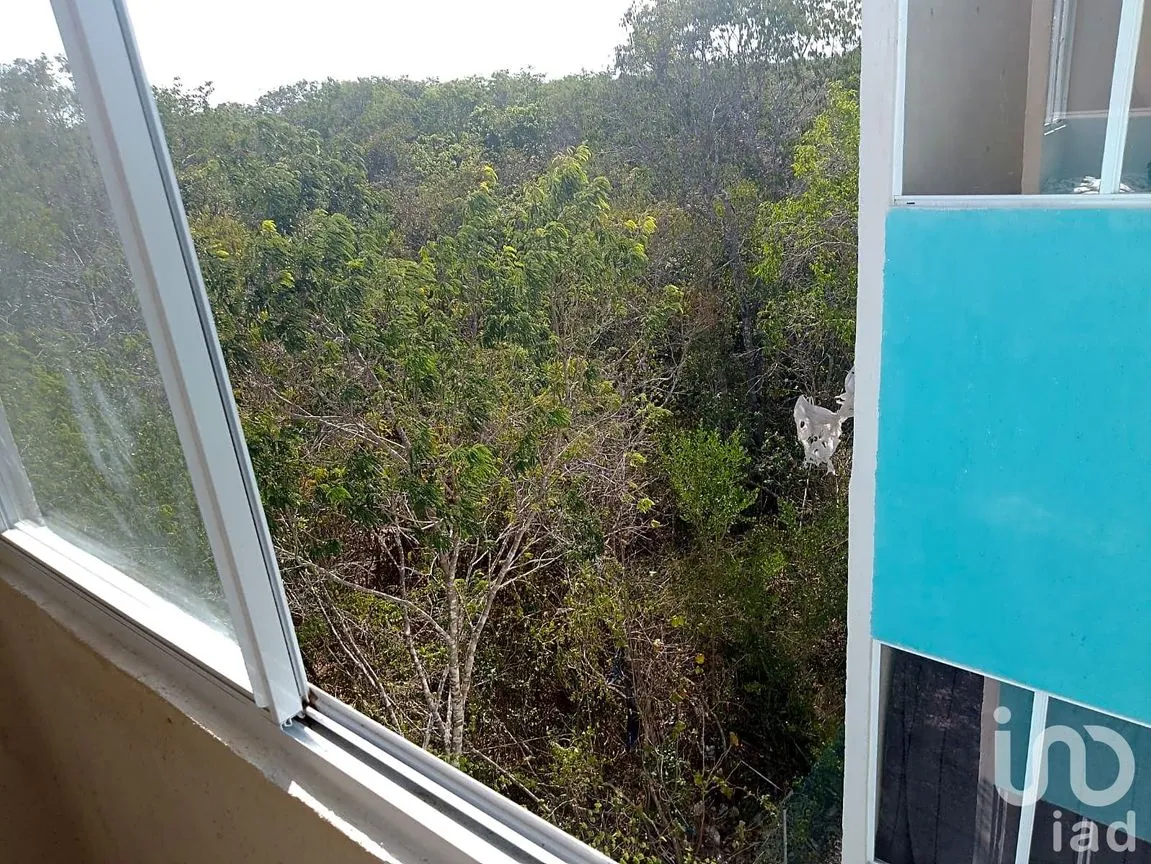 Departamento en Renta en Puerto Aventuras, Solidaridad, Quintana Roo | NEX-236374 | iad México | Foto 11 de 19