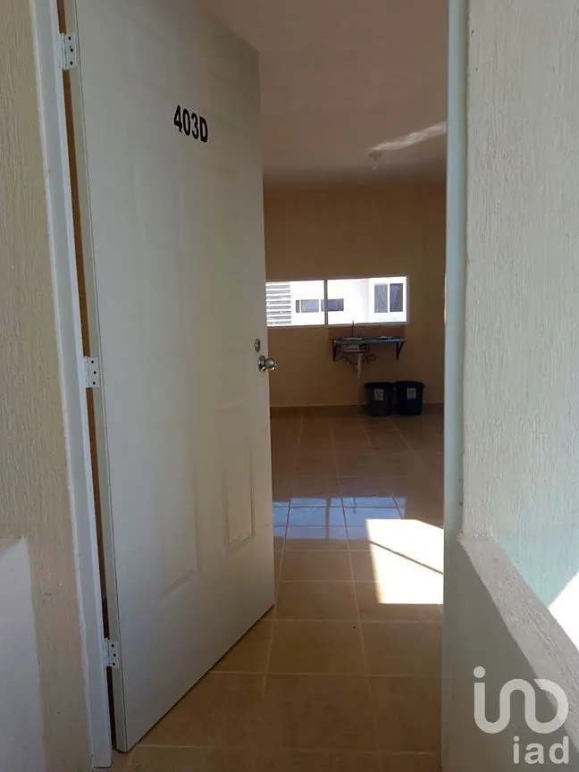 Departamento en Renta en Puerto Aventuras, Solidaridad, Quintana Roo | NEX-236374 | iad México | Foto 5 de 19
