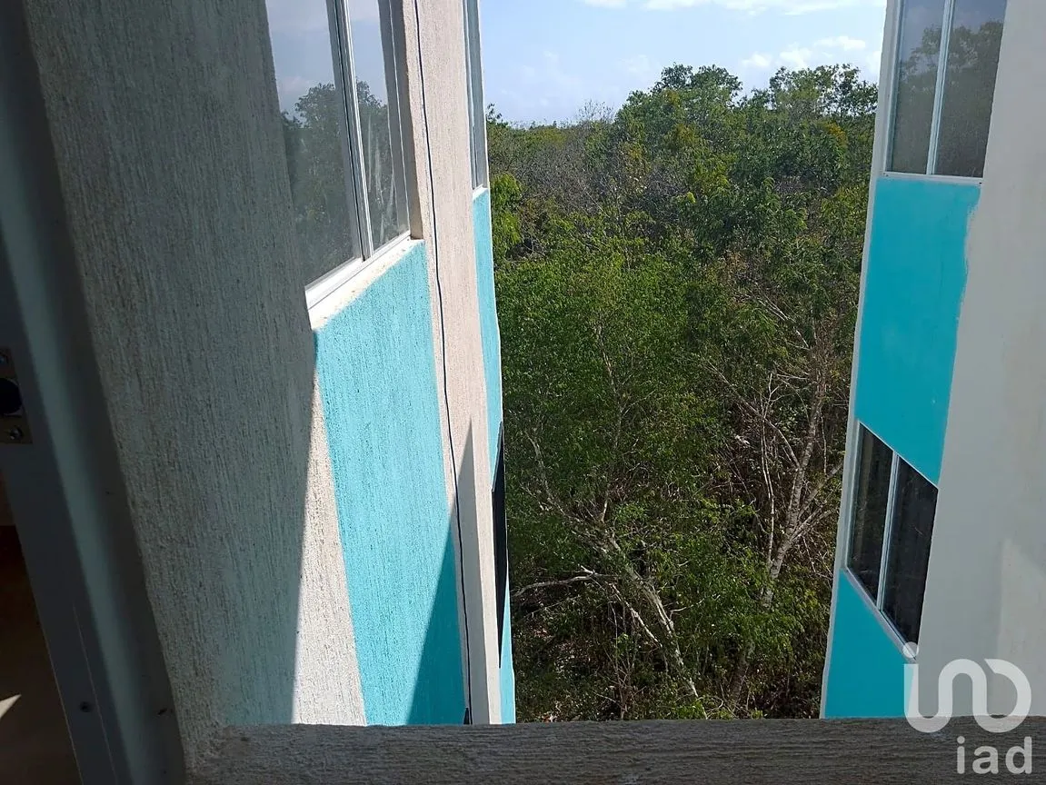 Departamento en Renta en Puerto Aventuras, Solidaridad, Quintana Roo | NEX-236374 | iad México | Foto 7 de 19