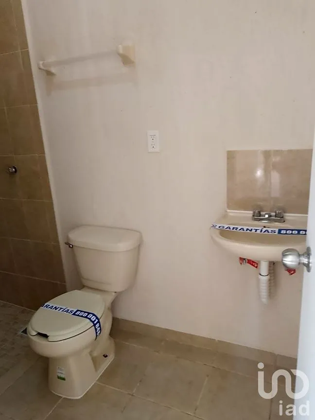 Departamento en Renta en Puerto Aventuras, Solidaridad, Quintana Roo | NEX-236374 | iad México | Foto 8 de 19