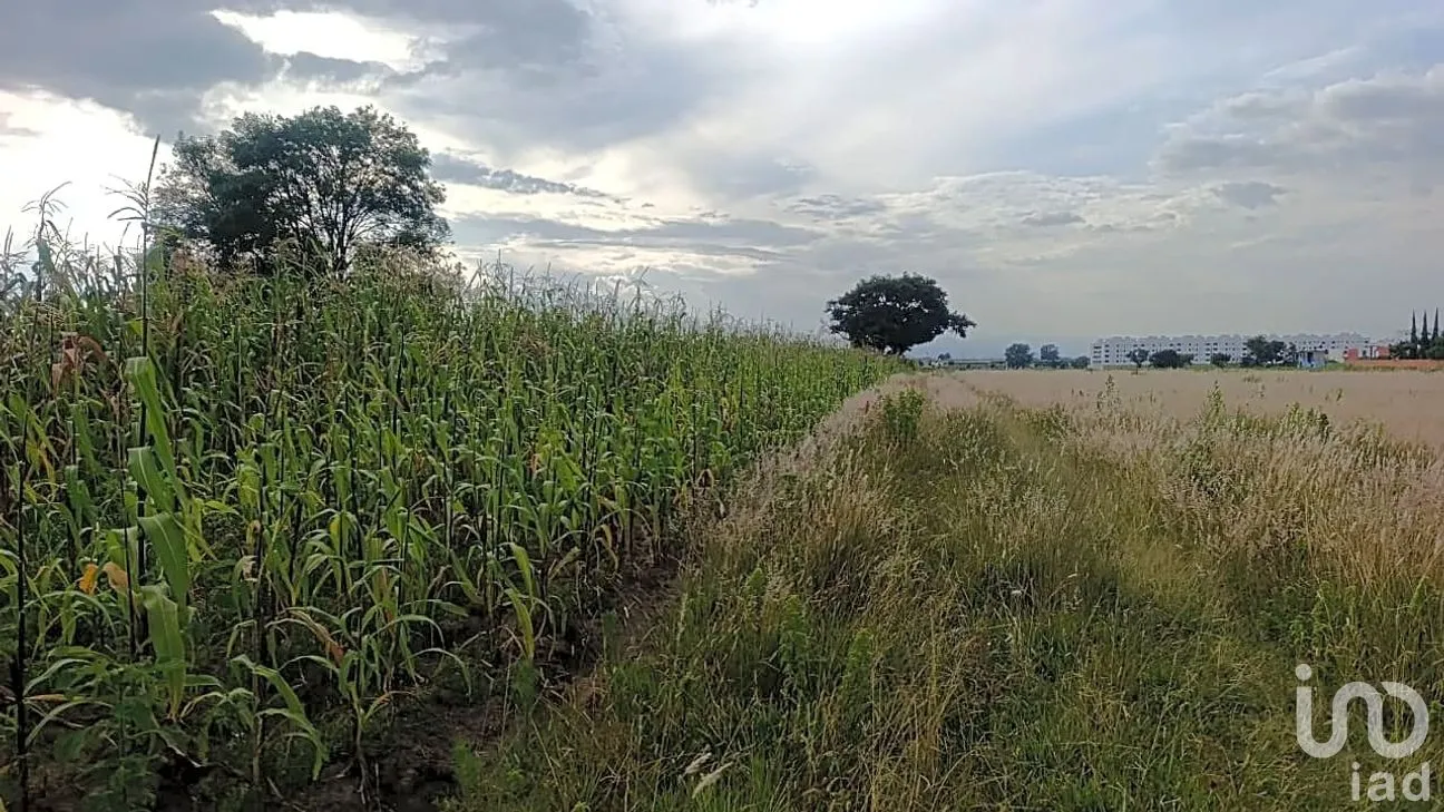 Terreno en Venta en Cuautlancingo, Cuautlancingo, Puebla | NEX-307828 | iad México | Foto 2 de 12